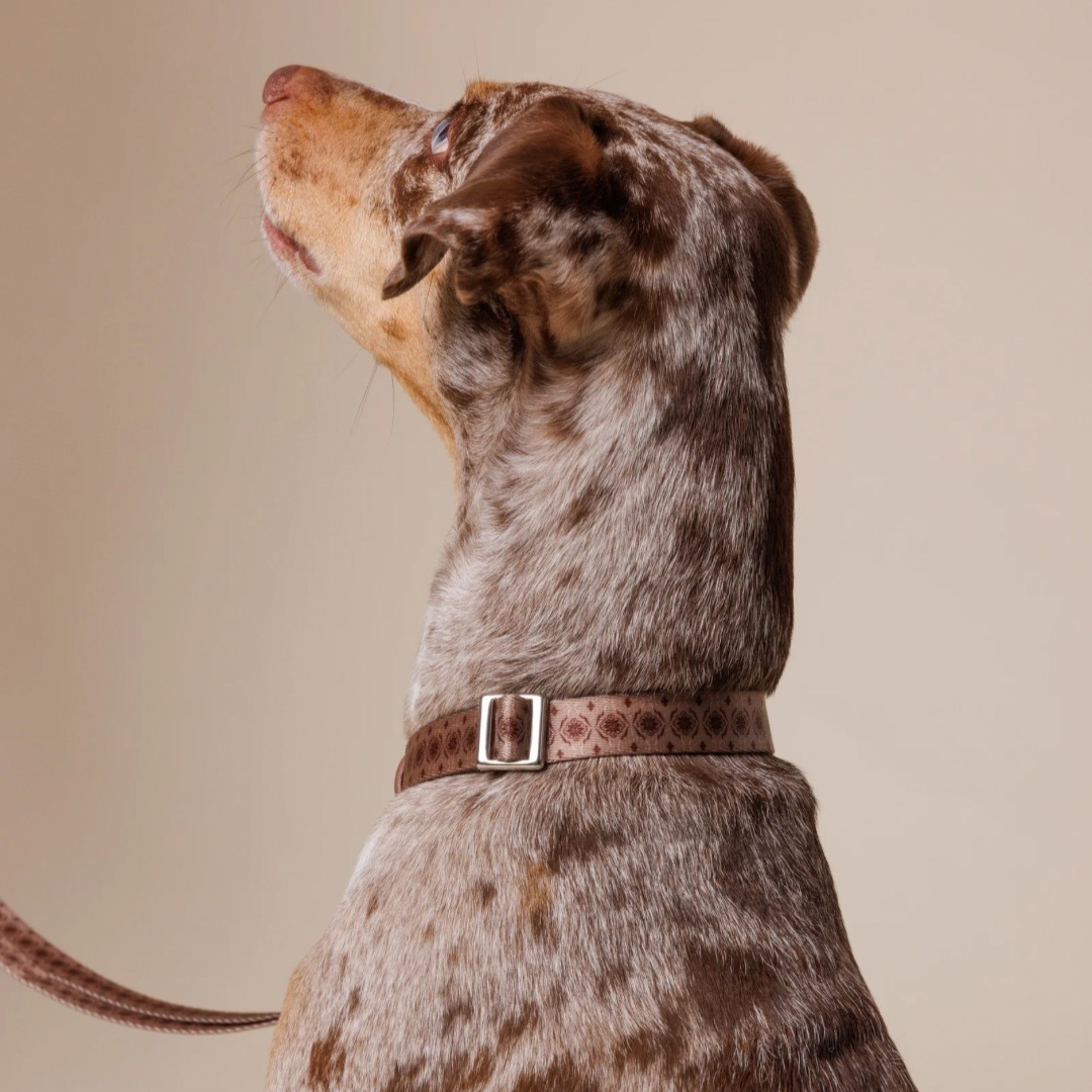 MINLA. Hundehalsband - Timeless Mocha