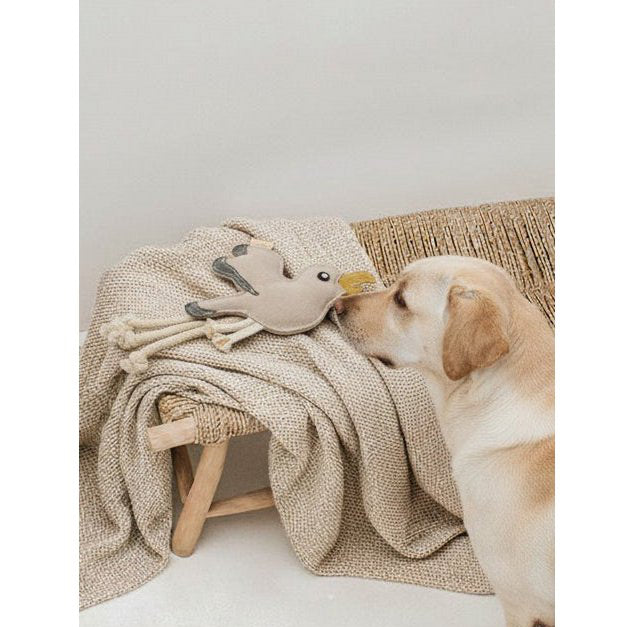 BUDDY. Hundespielzeug aus Leder "Möwe"