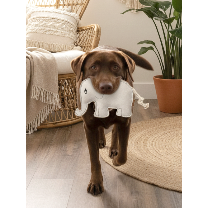 BUDDY. Hundespielzeug aus Leder "Elefant"
