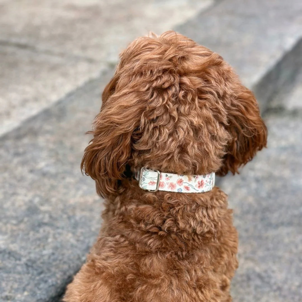 MINLA. Hundehalsband - Midsummer